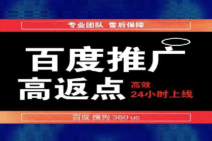 SEM服务公司成功案例解读